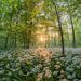Profile Picture of Keith Picardo (@picardokeith) on Pinterest
