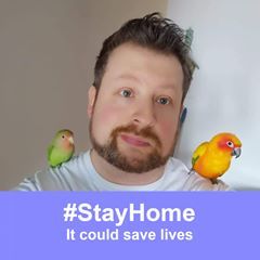 Profile Picture of Raymond Labonté (@spectral5100) on Tiktok