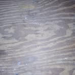 Profile Picture of Frederick Stevenson (@frederick.stevenson.353) on Facebook