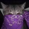 Profile Picture of angelo James (@@lo____31) on Tiktok
