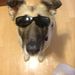 Profile Picture of Andrew Ciesielski (@andrewciesielsk) on Pinterest