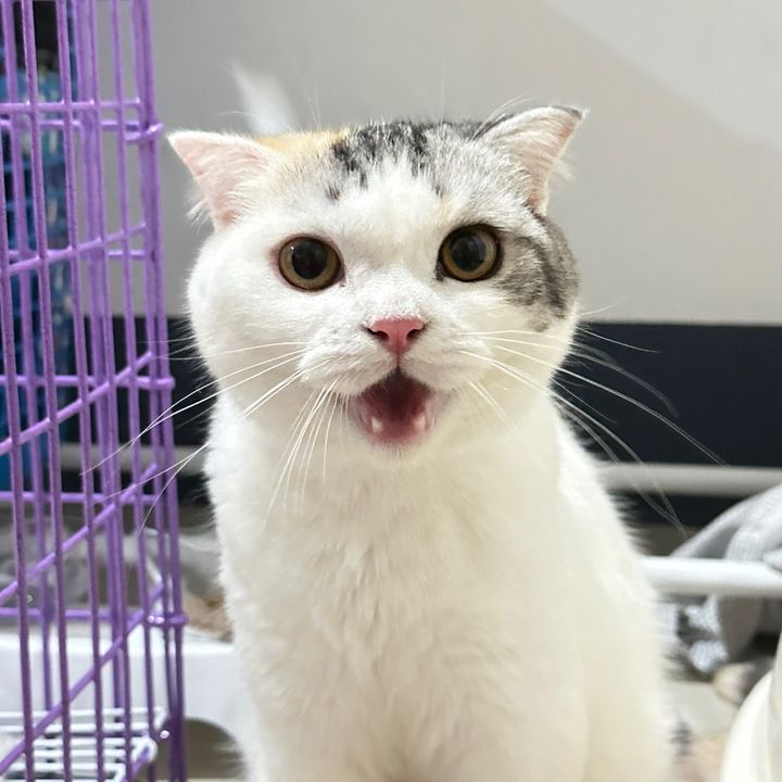 Profile Picture of Tharinsp (@tharinsp) on Tiktok