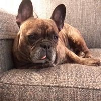 Profile Picture of Edward Willey (@edward-willey-2) on Quora