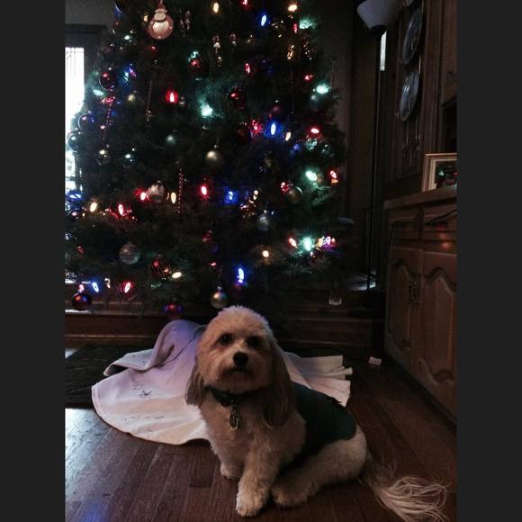 Profile Picture of Joyce Breen (@joycebreen) on Poshmark
