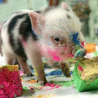 Profile Picture of Isabelle Jensen (@isabelle-jensen-3) on Quora