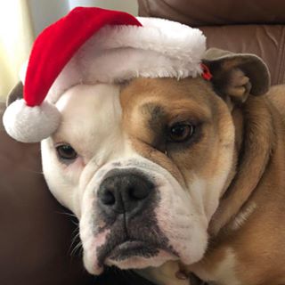 Profile Picture of Darren Britton (@Darren-Britton) on Facebook