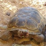 Profile Picture of Jason Lopez (@jasonlopez9280) on Instagram