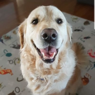 Profile Picture of Brenton Mark (@B_Whits) on Twitter