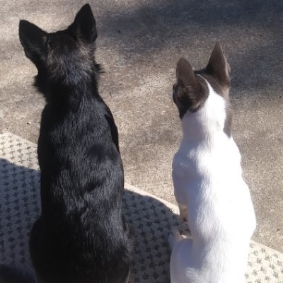 Profile Picture of Judy Owens (@JudyOwe50248818) on Twitter