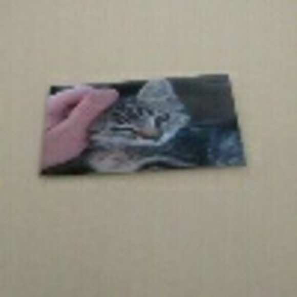 Profile Picture of Adam Filyau (@buymyoldshoes) on Poshmark