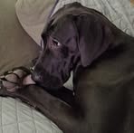 Profile Picture of James Riechman (@james.riechman) on Facebook