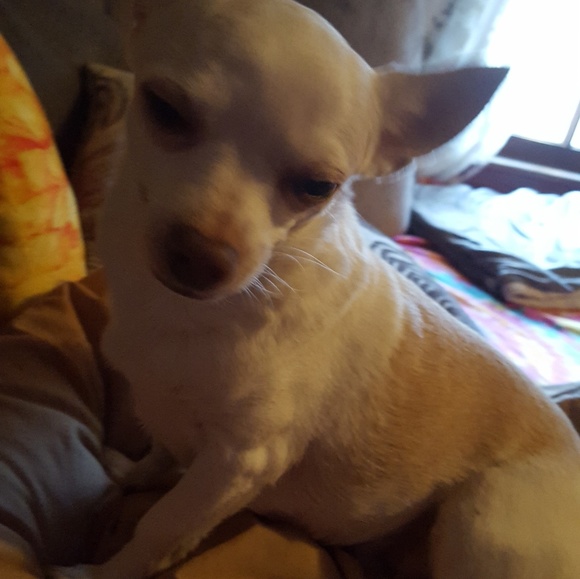 Profile Picture of Terry Brogan (@mawmawtb) on Poshmark