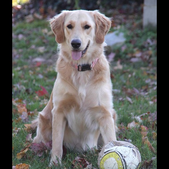 Profile Picture of Tracie Brailer (@tbrailer) on Poshmark