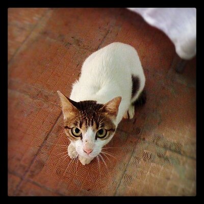 Profile Picture of Reid Hal (@ReidHal765) on Twitter