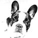 Profile Picture of Toni Olvera Doblas (@olveradoblas) on Pinterest