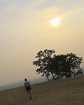 Profile Picture of Bailey Singleton (@lonewolf4l) on Flickr