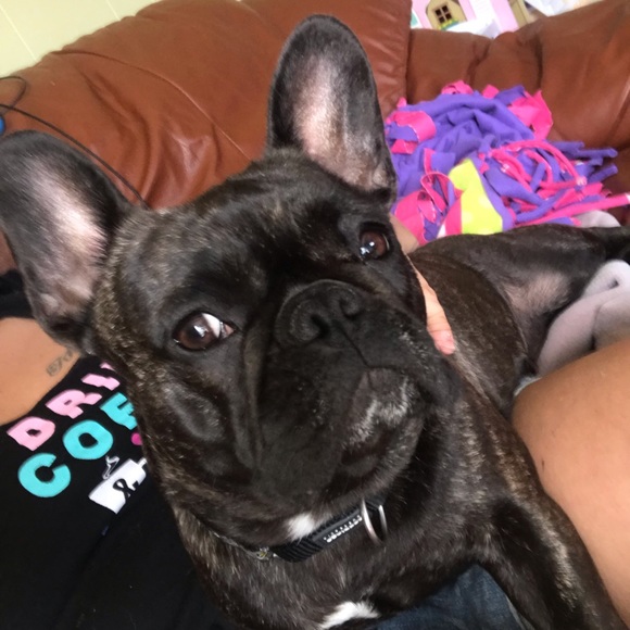 Profile Picture of Brooke Silfies (@glsilfies1) on Poshmark