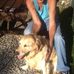 Profile Picture of James McBride (@james.mcbride.75839) on Facebook