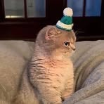 Profile Picture of Jacquelyn Cheng (@Jacquelyn-Cheng) on Facebook