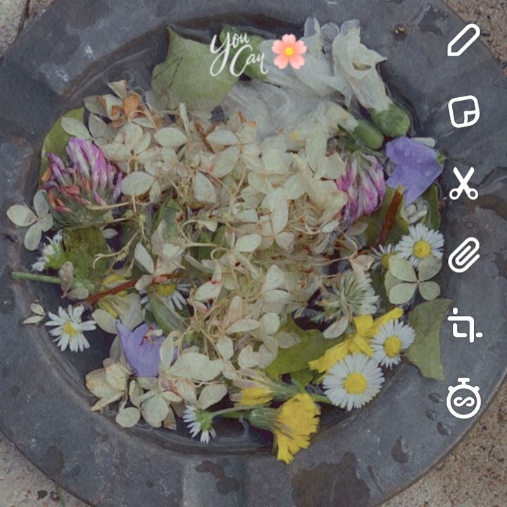 Profile Picture of Robertmalici (@robertmalici) on Tiktok