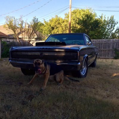 Profile Picture of Gary Mcmaster (@GaryMcmaster14) on Twitter