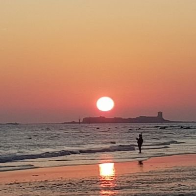 Profile Picture of Conchiviri (@concha_ramirez) on Twitter