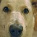 Profile Picture of Steve McGillivray (@mcgillivray0538) on Pinterest