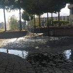 Profile Picture of Cassie Keith💦 (@cassie_._._keith) on Instagram