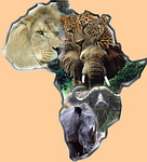 Profile Picture of Karibu (@Peter-Hedger) on Flickr