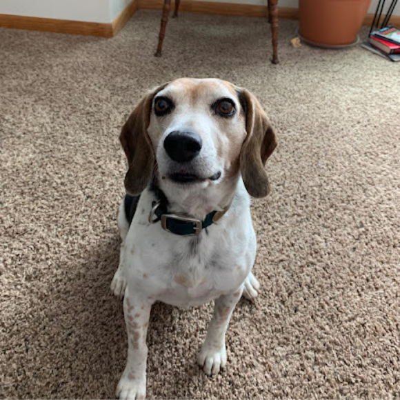 Profile Picture of Alice Miller (@aliadamiller03) on Poshmark