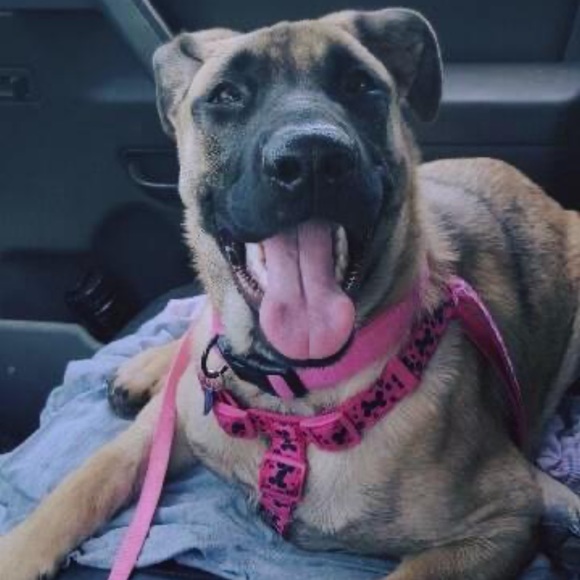 Profile Picture of Julia Cavazos (@juliacavazos16) on Poshmark