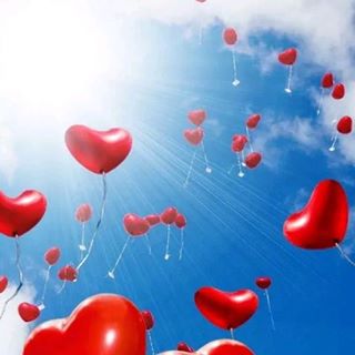 Profile Picture of Reem Abed (@Reem-Abed) on Facebook