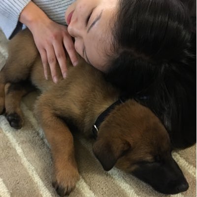 Profile Picture of Jessie Huang (@jessh288) on Twitter