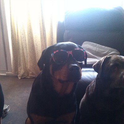 Profile Picture of Darren Badger (@Maddaz_01) on Twitter