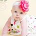 Profile Picture of Erin Labrecque (@erin5597) on Pinterest