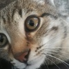 Profile Picture of Артур Ваймер780 (@@arthurweimer) on Tiktok