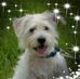 Profile Picture of Jean Cain (Jean Beaulac Cain) (@jeancain) on Facebook