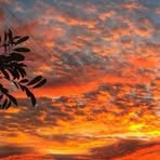 Profile Picture of Brandon Balderas (@Brandon-Balderas) on Facebook