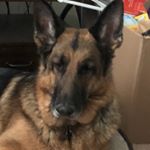 Profile Picture of Keith Schrader (@keeblercookie360) on Instagram