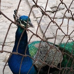 Profile Picture of Maria Yamile Eslava Vargas (@EslavaVargas) on Twitter