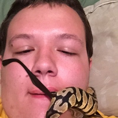 Profile Picture of Ryan Heinrich (@RyanHeinrich6) on Twitter