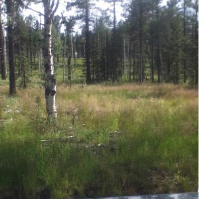 Profile Picture of Adam Fancher (@countryboy580) on Twitter