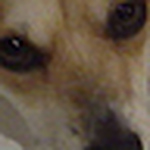 Profile Picture of William Richardson (@willyam1234) on Flickr