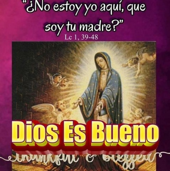 Profile Picture of Lupe Resendez (@07lupita19) on Poshmark