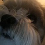 Profile Picture of Seth Kramer (@i_is_teh_seth) on Instagram
