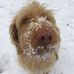 Profile Picture of Adrian MacKinnon (@adrian.mackinnon.7967) on Facebook