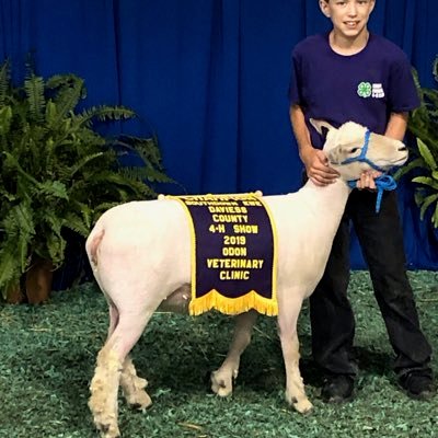 Profile Picture of David Remsburg (@DavidRemsburg) on Twitter