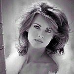 Profile Picture of Suzanne Murphy (@suzannemurphy899) on Instagram