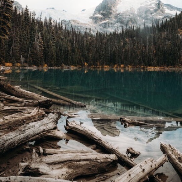 Profile Picture of Brian Copeland (@brian_c2) on Poshmark