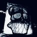 Profile Picture of Chris Plowman (@plowface) on Facebook